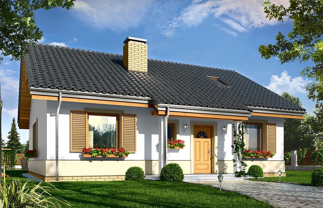 projekt-domu-zabka-3-wizualizacja-front-lustro